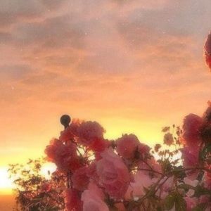 Meet your Posher, Katrina